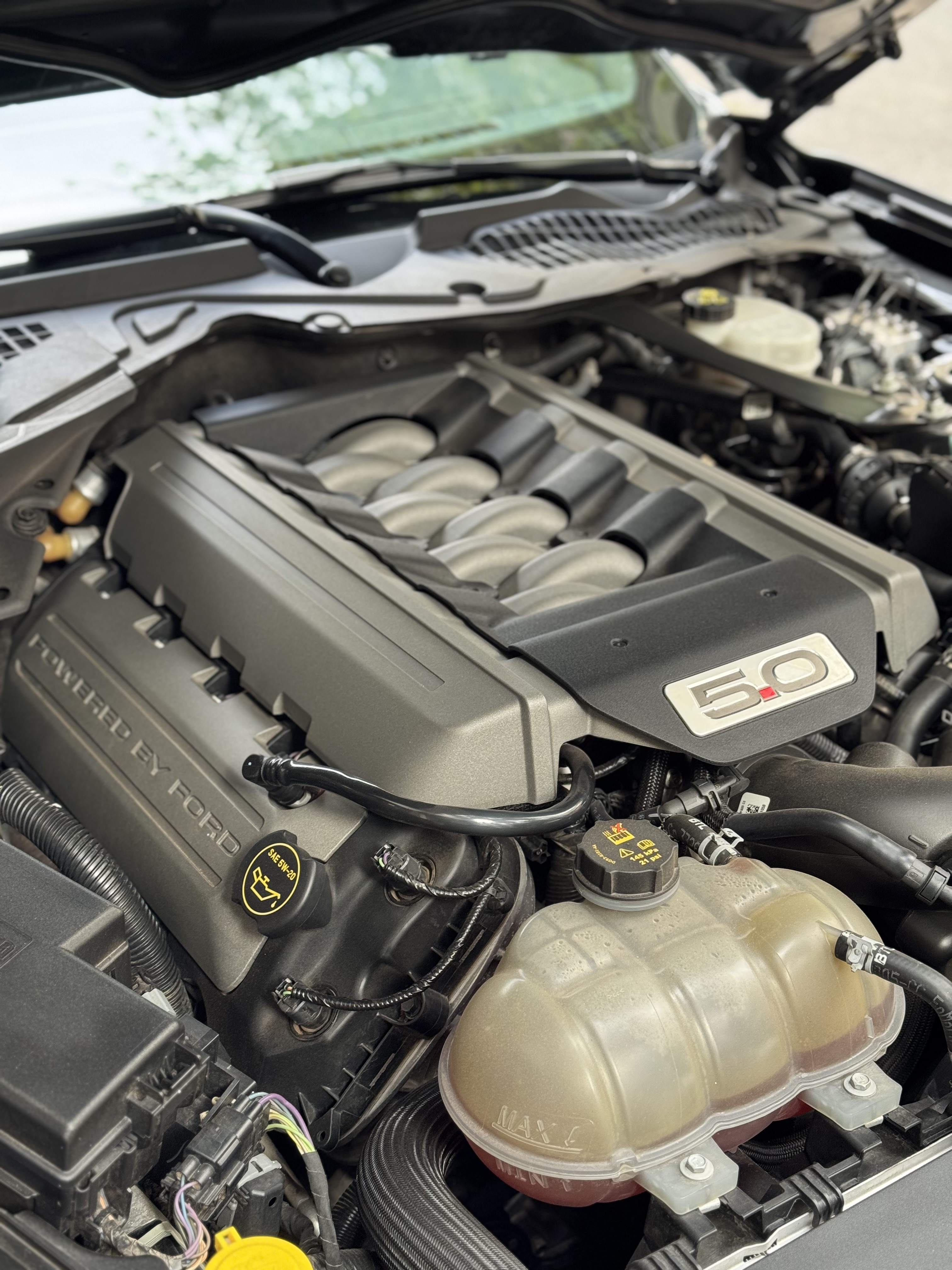 Mira las publicaciones de GB GARAGE en Motordil