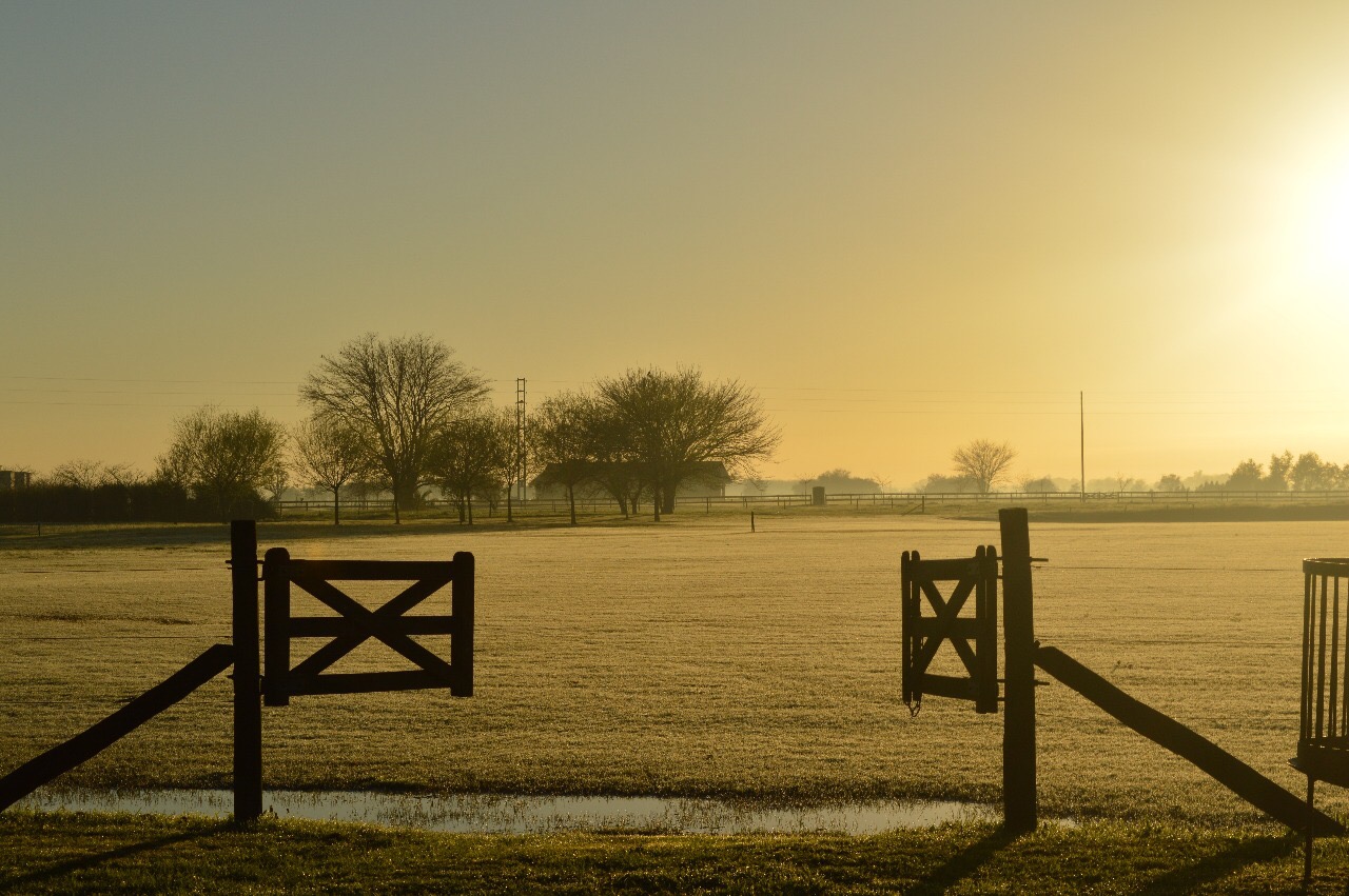 Mira las publicaciones de AC Automotores en Motordil