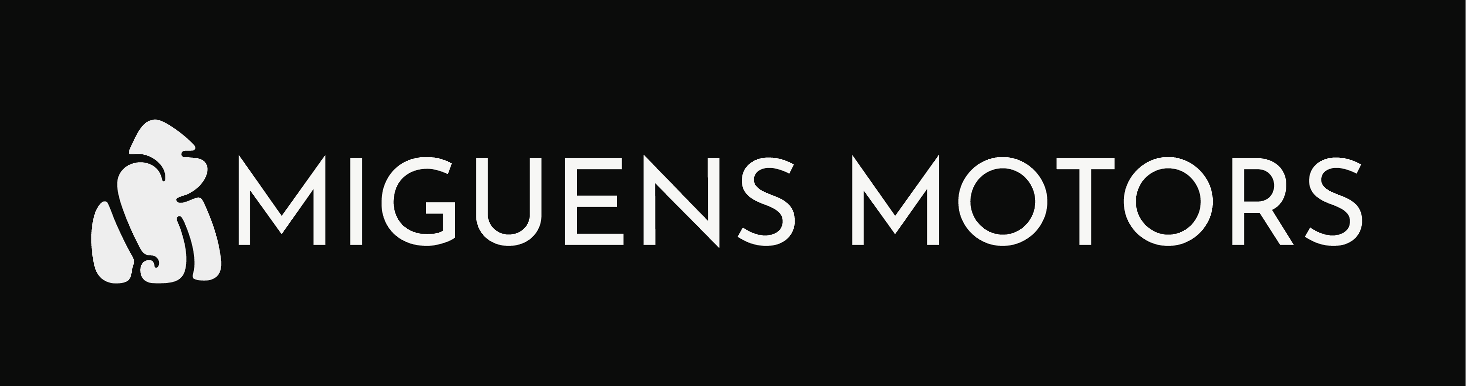 Banner Miguens Motors
