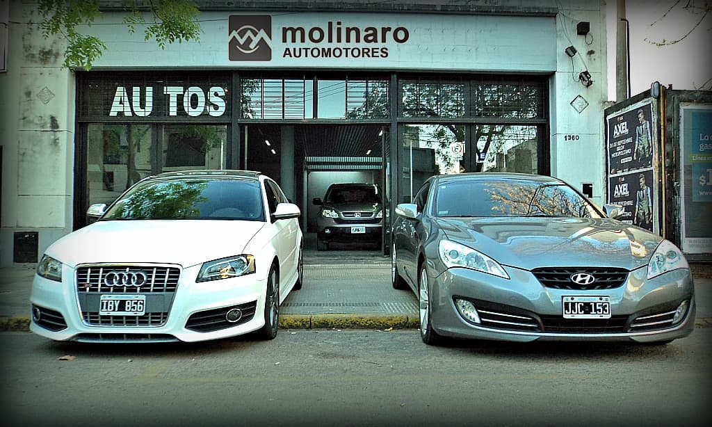 Banner Molinaro Automotores