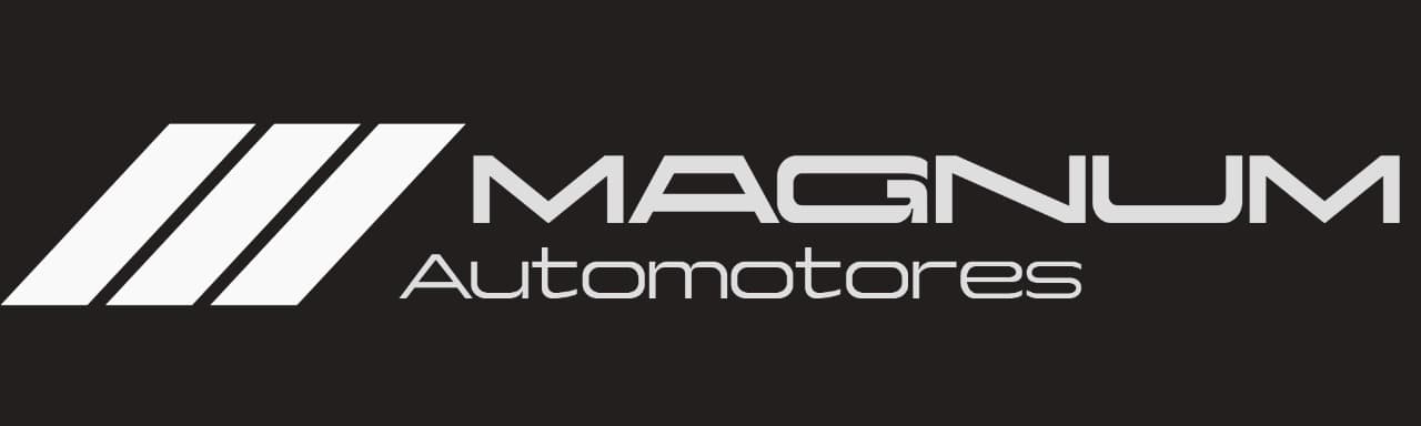 Banner Magnum Automotores