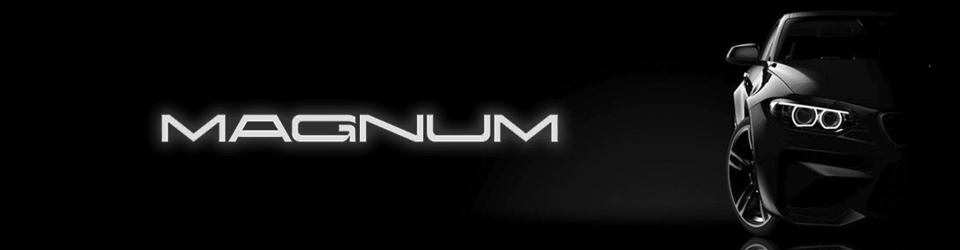 Banner Magnum Automotores