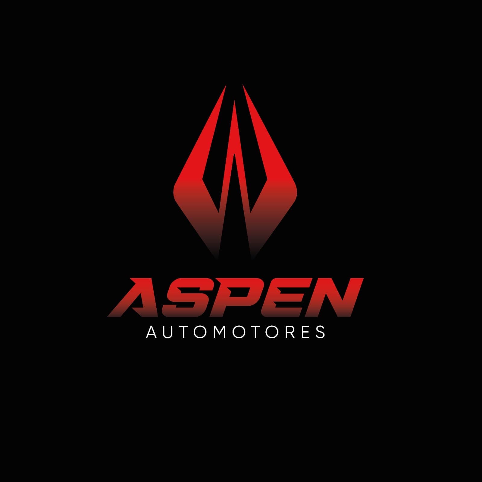 Mira el stock de Aspen Automotores en Motordil