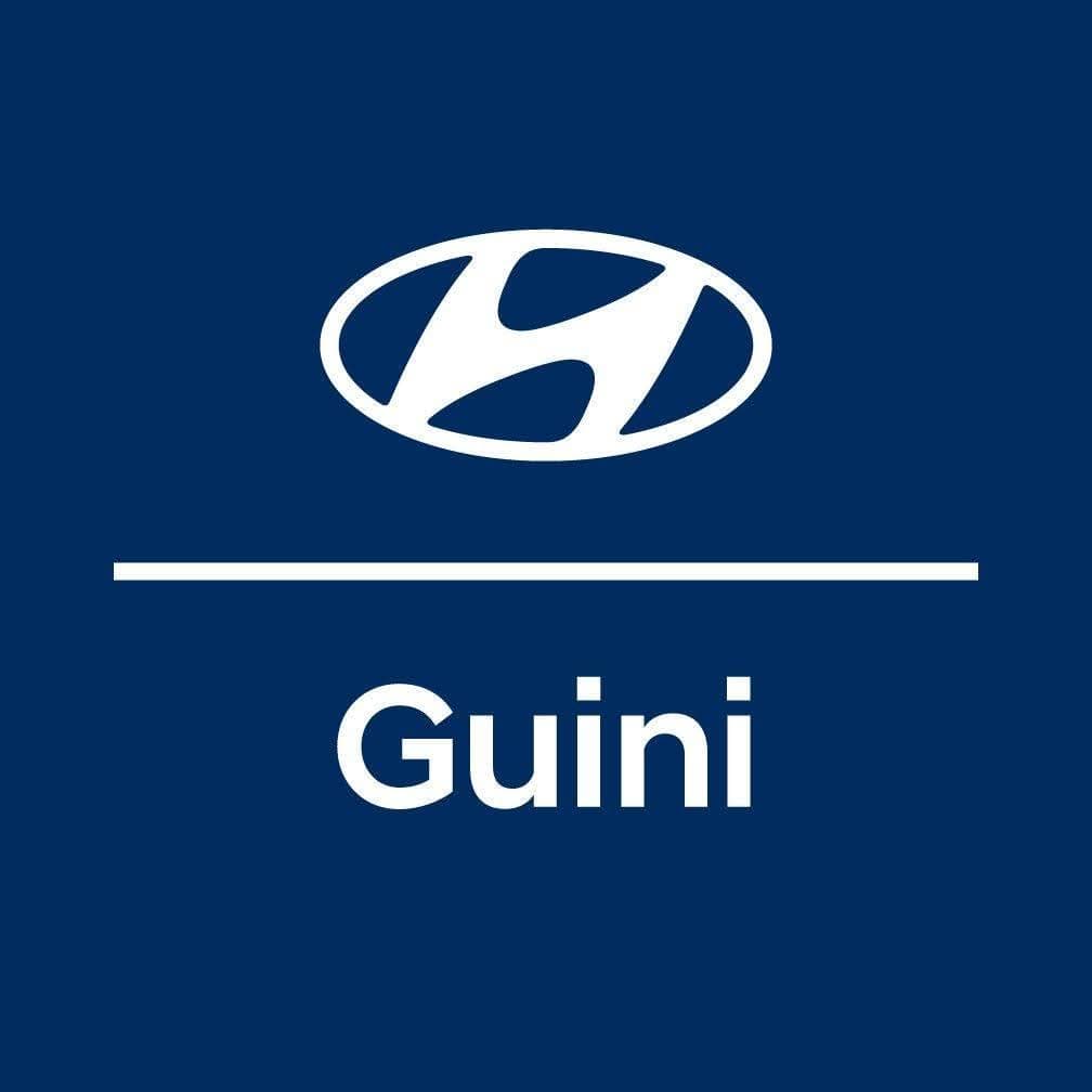Mira el stock de Hyundai Bavarian en Motordil