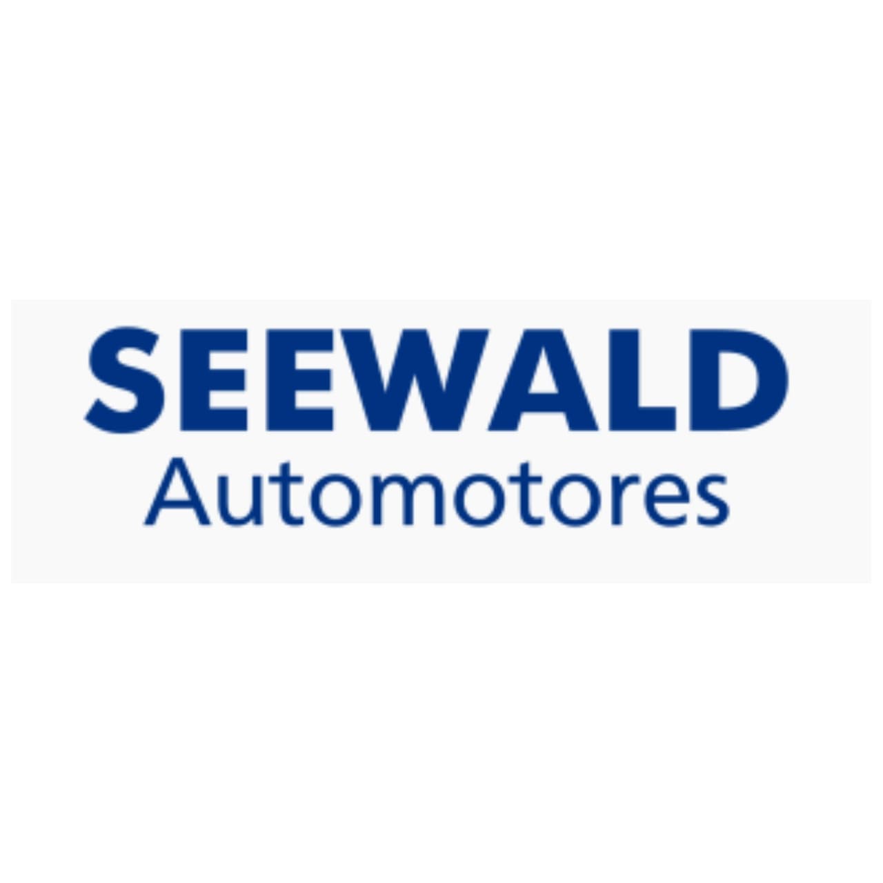 Mira el stock de Seewald automotores en Motordil