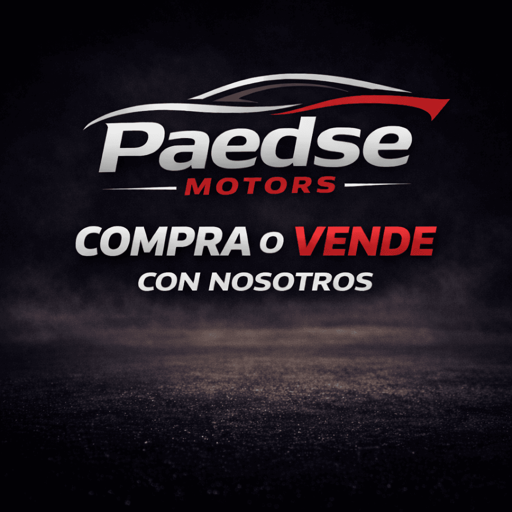 Mira el stock de Paedse Cars en Motordil
