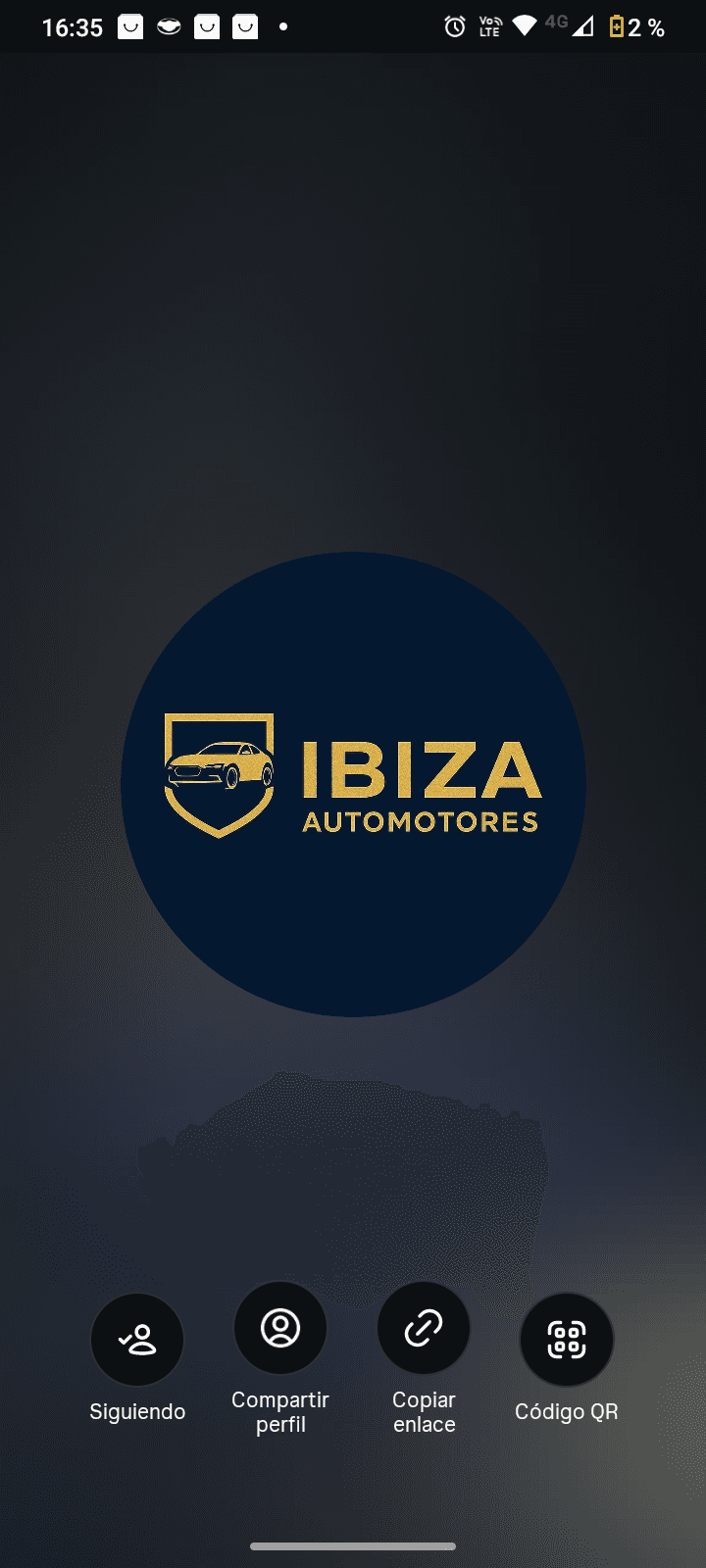 Mira el stock de Ibiza_automotores en Motordil